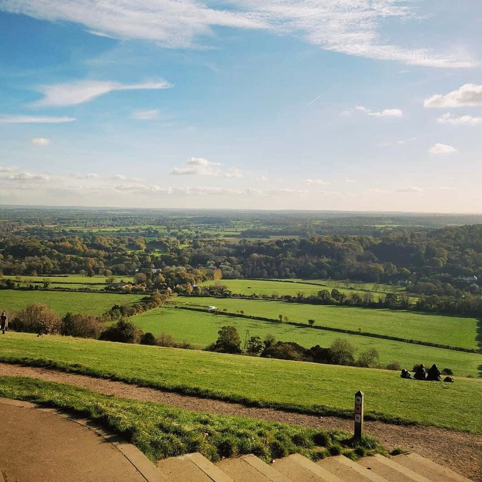 Box Hill | Mini Hike