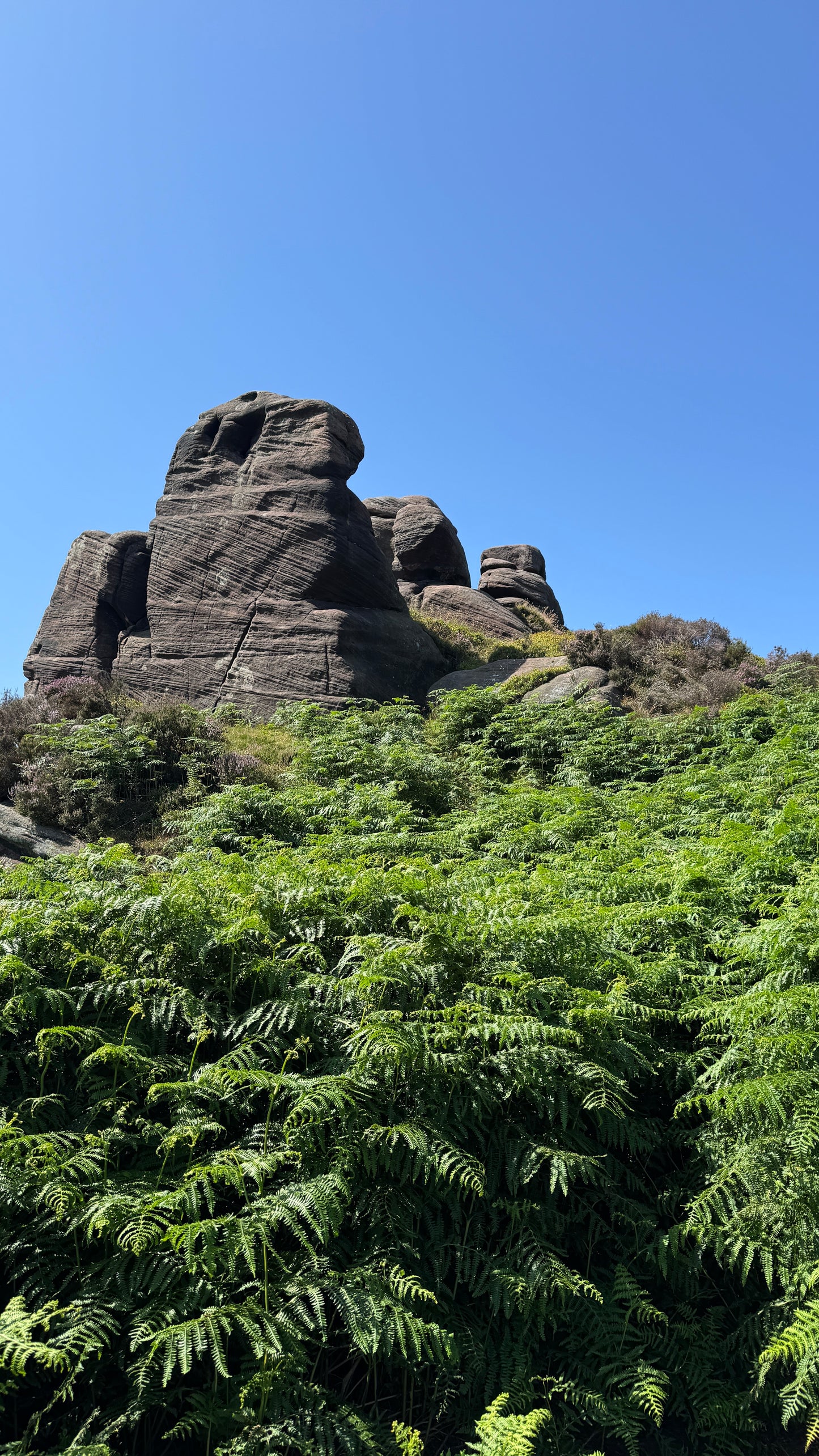 Lud's Church and the Roaches