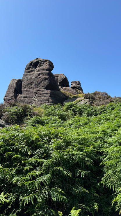 Lud's Church and the Roaches
