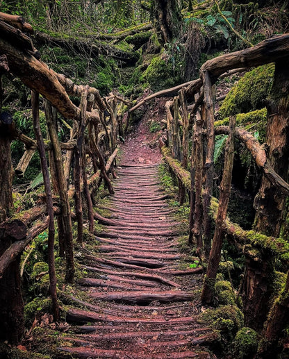 Forest Of Dean
