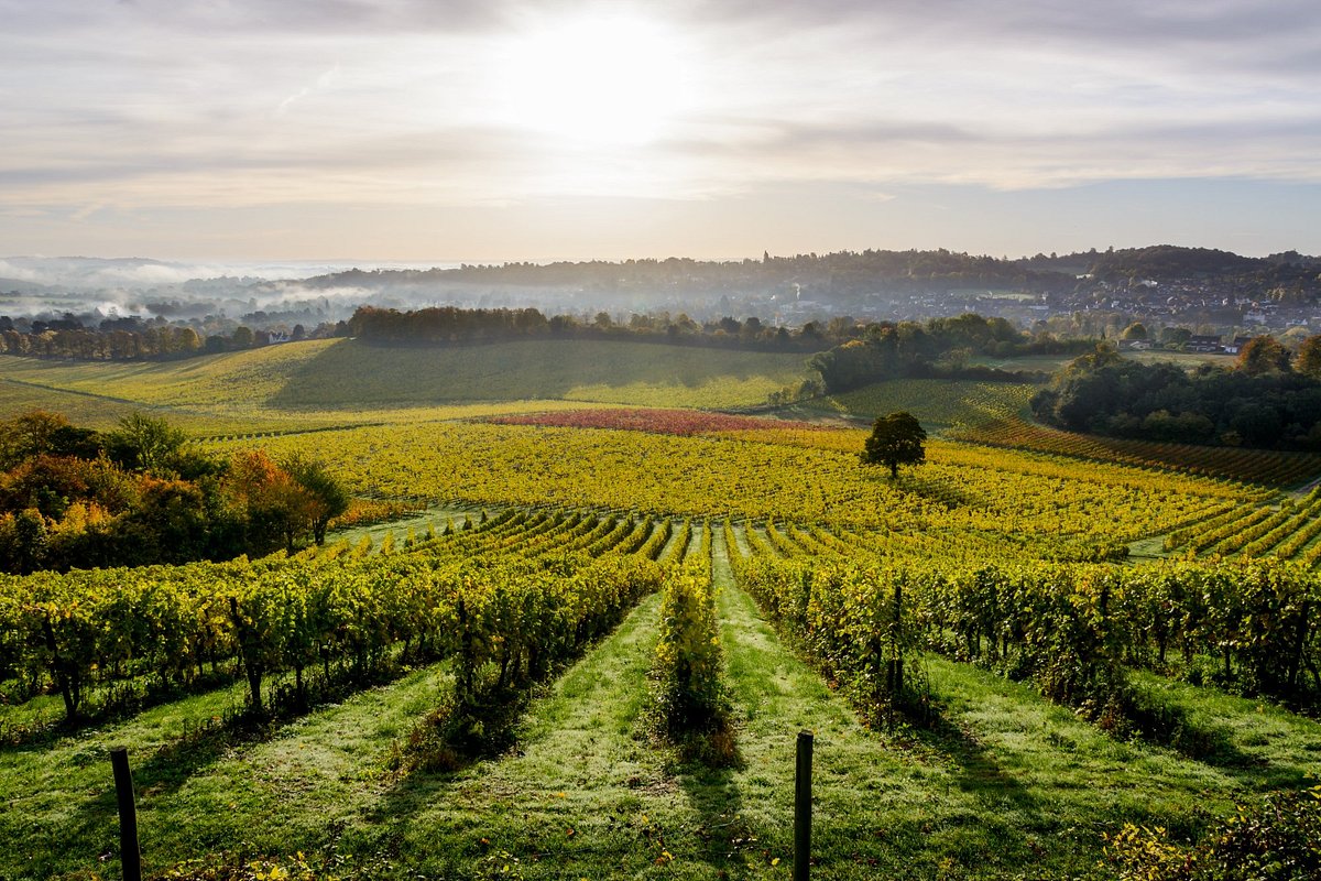 Mole Gap Trail & Vineyard Experience