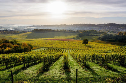 Mole Gap Trail & Vineyard Experience