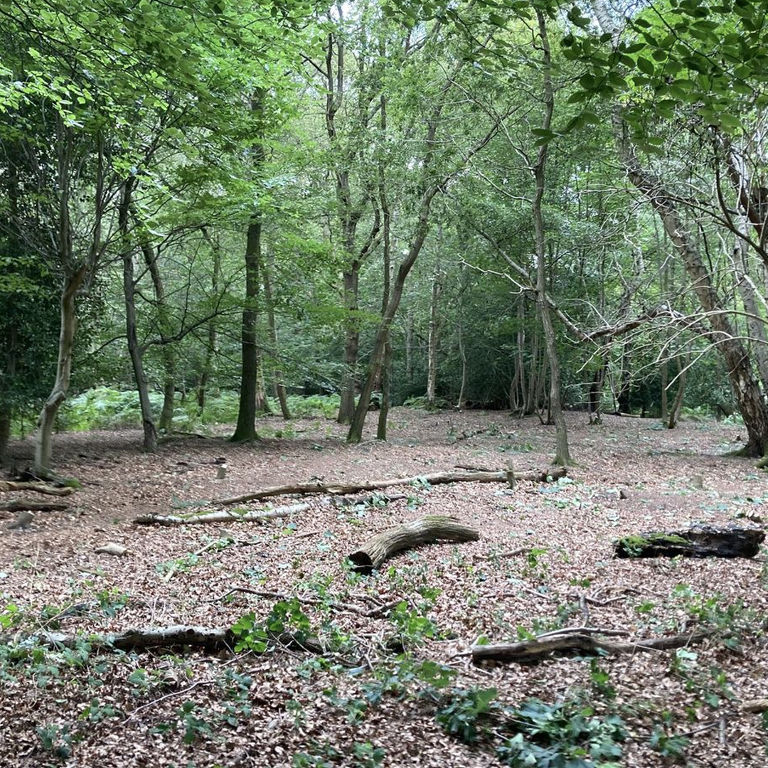 Epping Forest